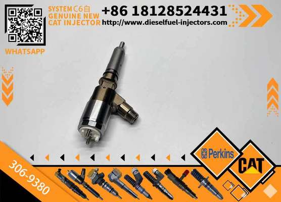 306-9380 China Made High Quality New Diesel Common Rail Fuel Injector 3069380 for CAT C6.6 Engine