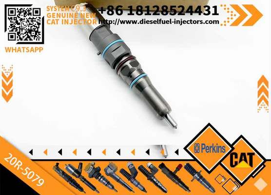 Excavator Parts Common Rail Injector 456-3544 456-3589 20R-5079 Fuel Injector 460-8213 for Caterpillar Engine C9.3