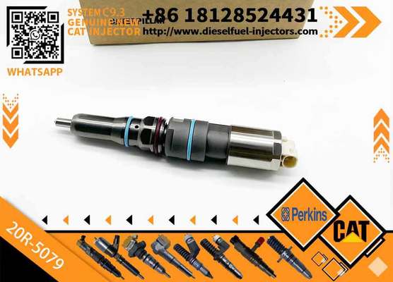 Excavator Parts Common Rail Injector 456-3544 456-3589 20R-5079 Fuel Injector 460-8213 for Caterpillar Engine C9.3